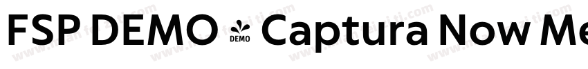 FSP DEMO - Captura Now Medium字体转换